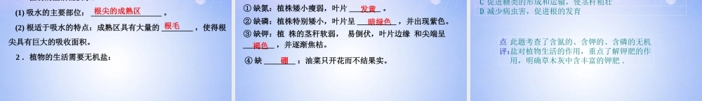 中学七年级生物上册 被子植物的一生课件 新人教版 课件
