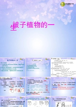 中学七年级生物上册 被子植物的一生课件 新人教版 课件