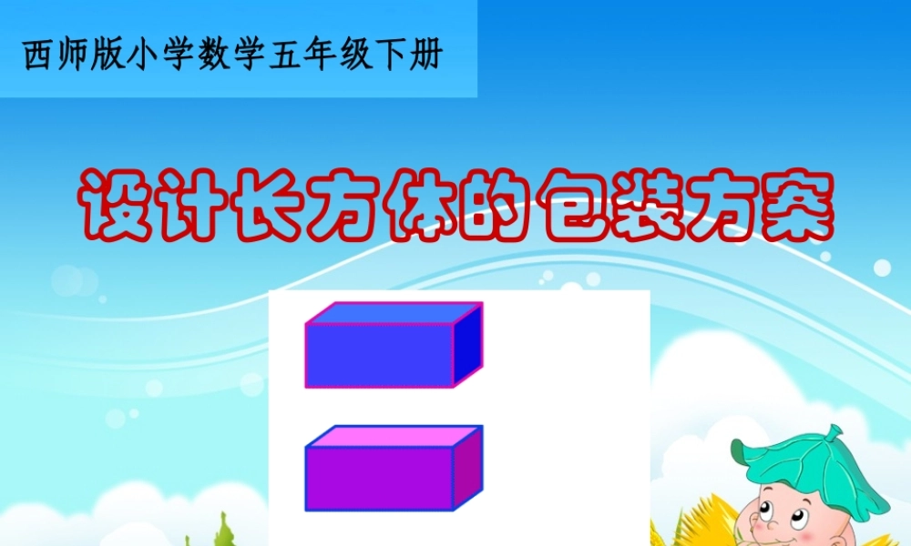 设计长方体的包装方案(2)