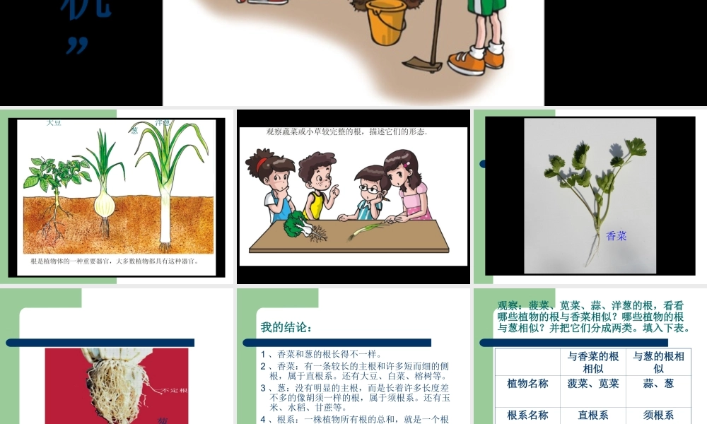 《1-根里的“抽水机”》课件