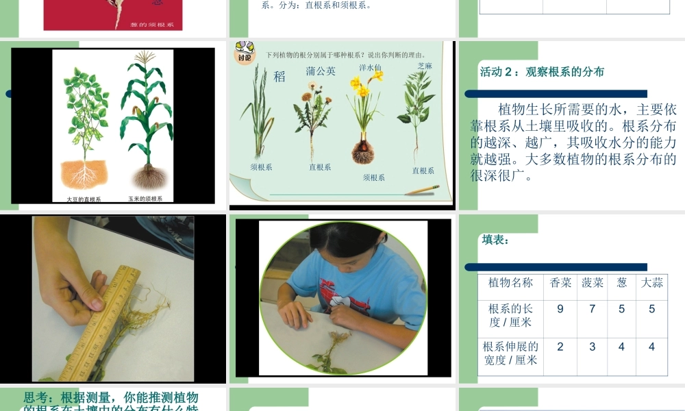 《1-根里的“抽水机”》课件