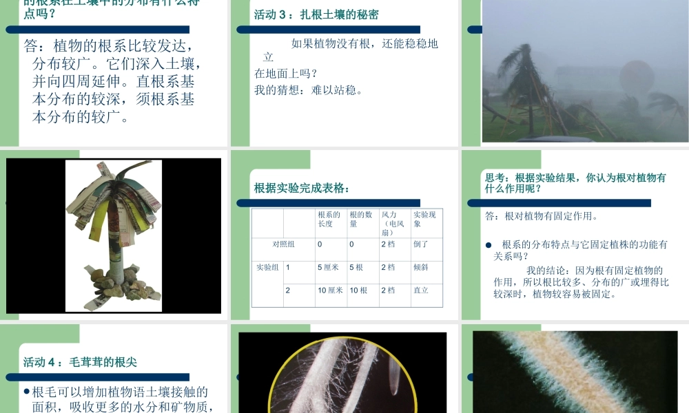 《1-根里的“抽水机”》课件