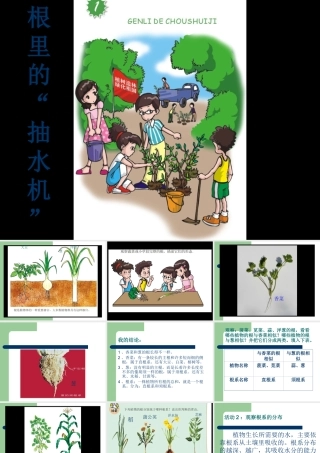 《1-根里的“抽水机”》课件