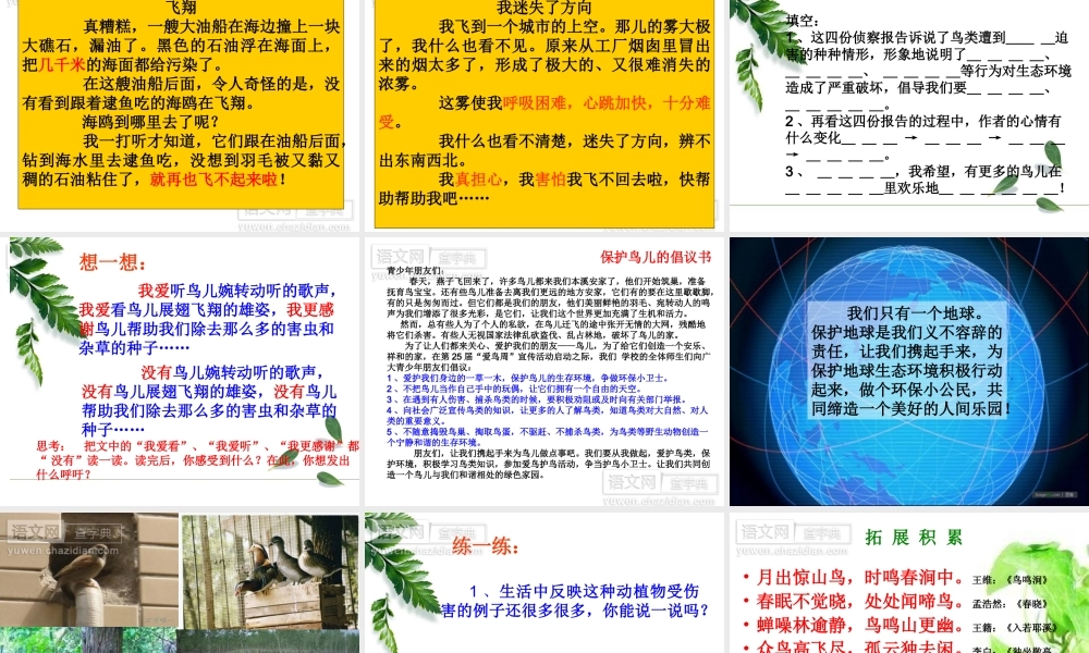 鸟儿的侦察报告 (3)