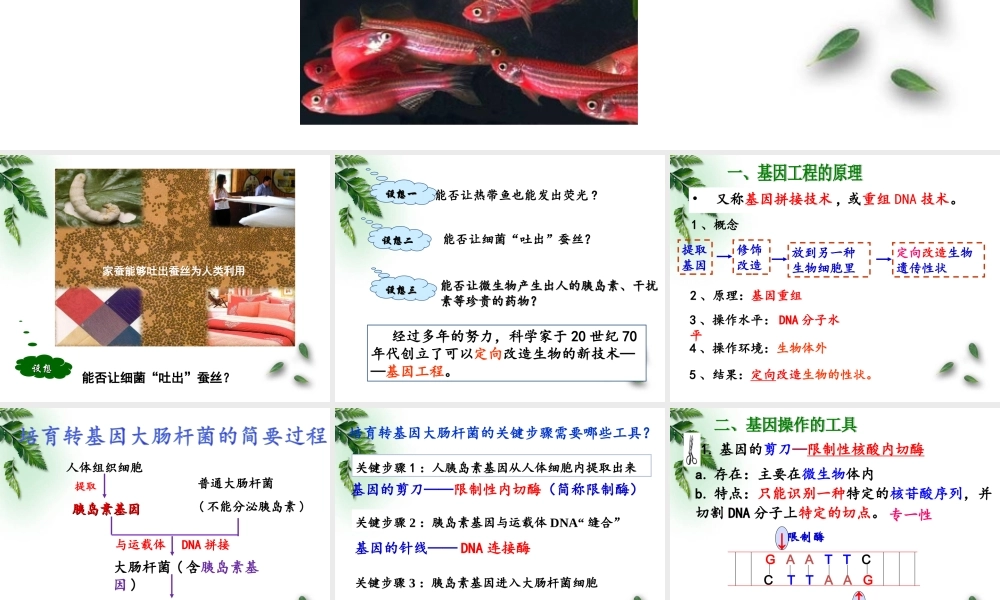 基因工程及应用