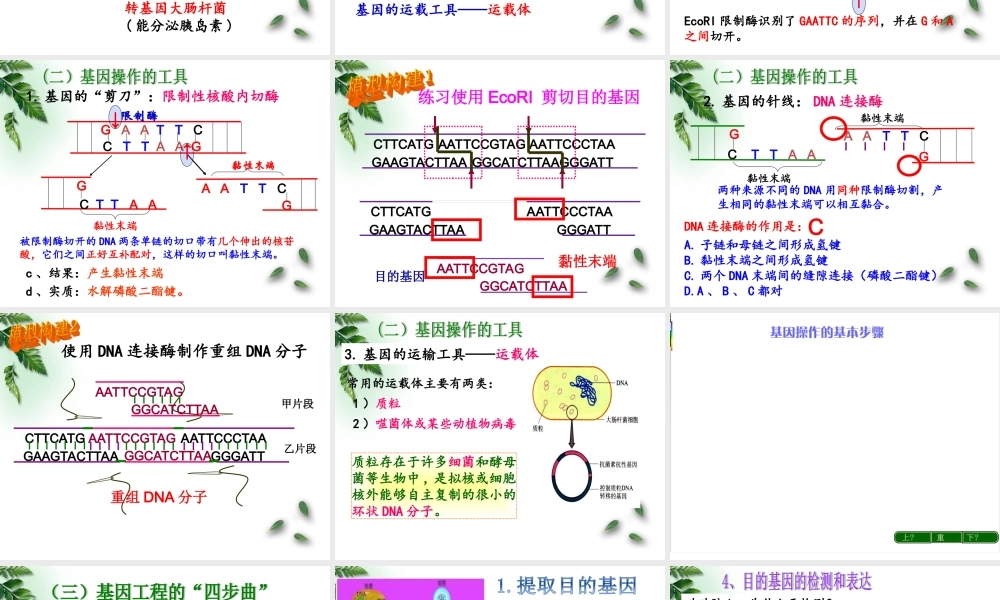 基因工程及应用
