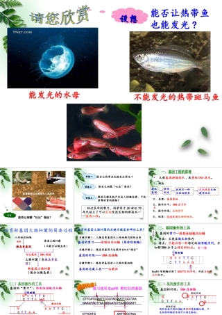 基因工程及应用