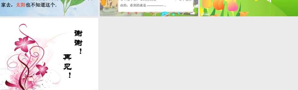 课件我和祖父的花园