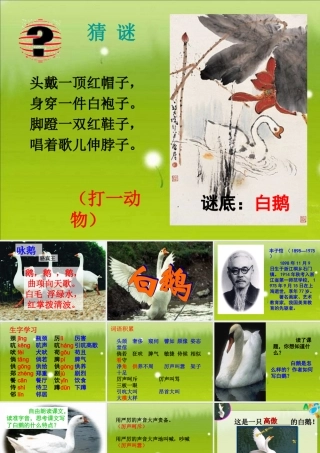 《白鹅》 (2)