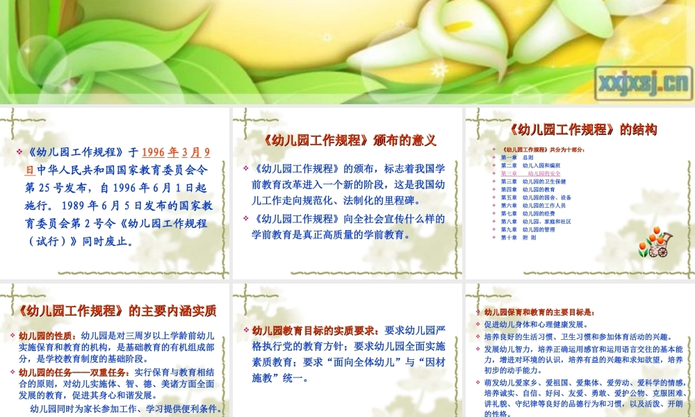 幼儿园规程-毕嵘