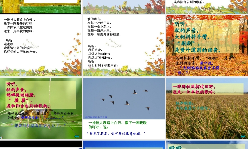 _12_听听秋的声音PPT课件