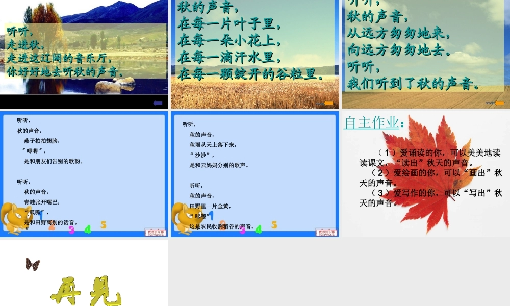 _12_听听秋的声音PPT课件