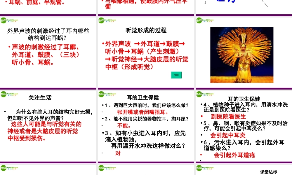 七年级生物下册 第五章人体生命活动的调节 第四节 人体对周围世界的感知 耳课件 济南版 课件