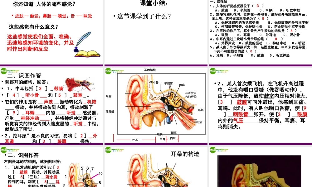 七年级生物下册 第五章人体生命活动的调节 第四节 人体对周围世界的感知 耳课件 济南版 课件