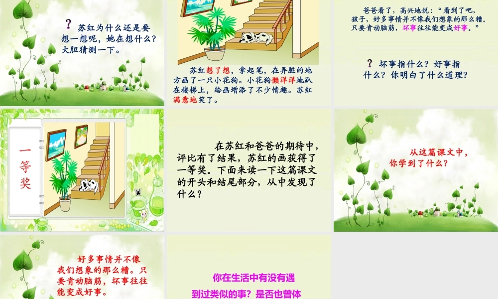 《苏红的画》教学课件（课文讲解）