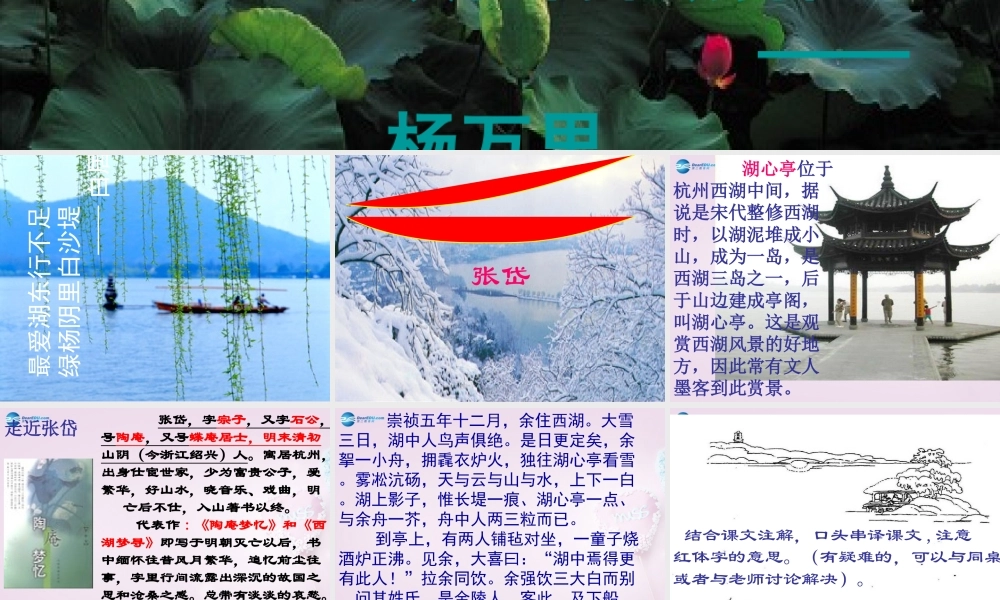 山东省泰安市八年级语文上册 29 湖心亭看雪课件 新人教版 课件