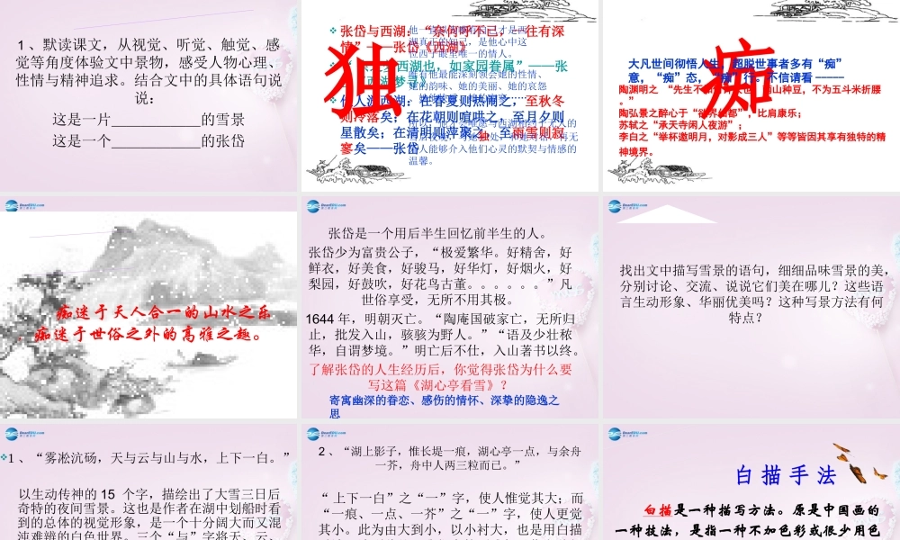 山东省泰安市八年级语文上册 29 湖心亭看雪课件 新人教版 课件