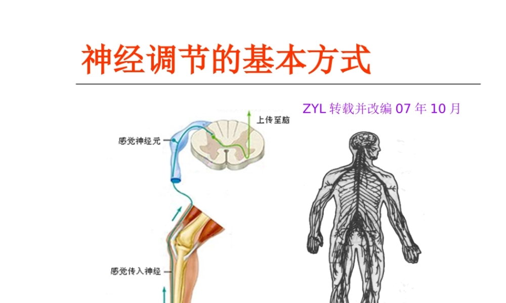 区领导督导听课：2第二章第一节（二）神经调节的基本方式--反射弧