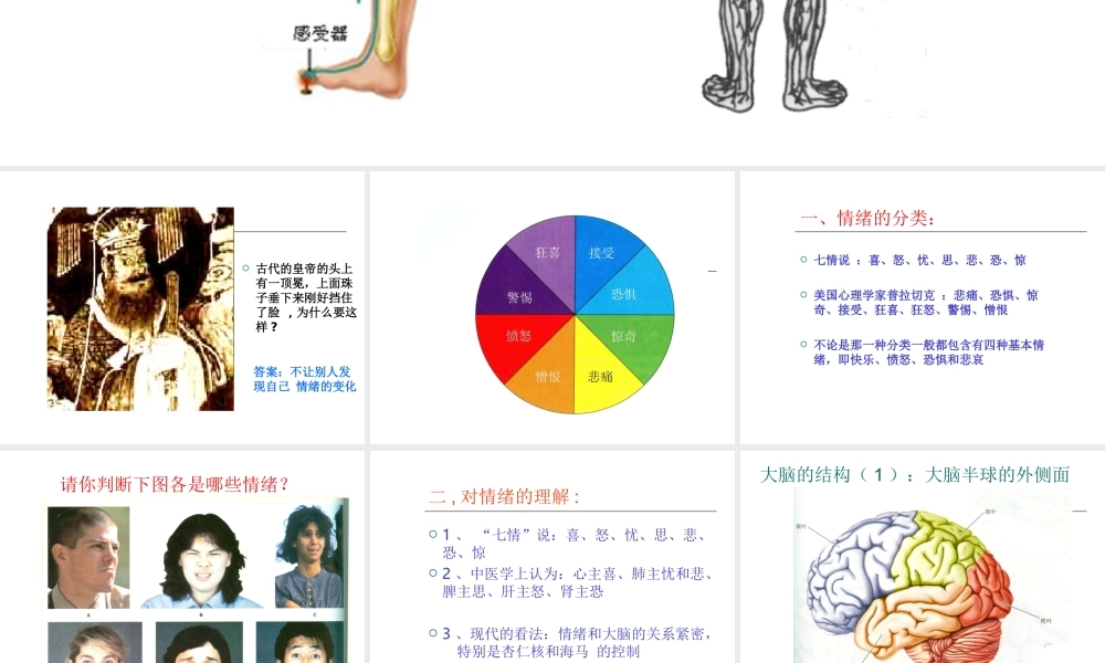 区领导督导听课：2第二章第一节（二）神经调节的基本方式--反射弧