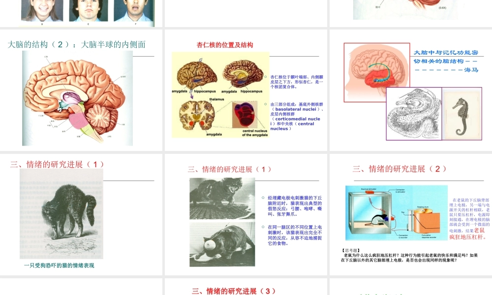 区领导督导听课：2第二章第一节（二）神经调节的基本方式--反射弧