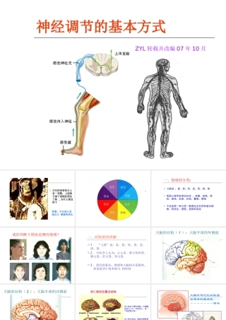 区领导督导听课：2第二章第一节（二）神经调节的基本方式--反射弧