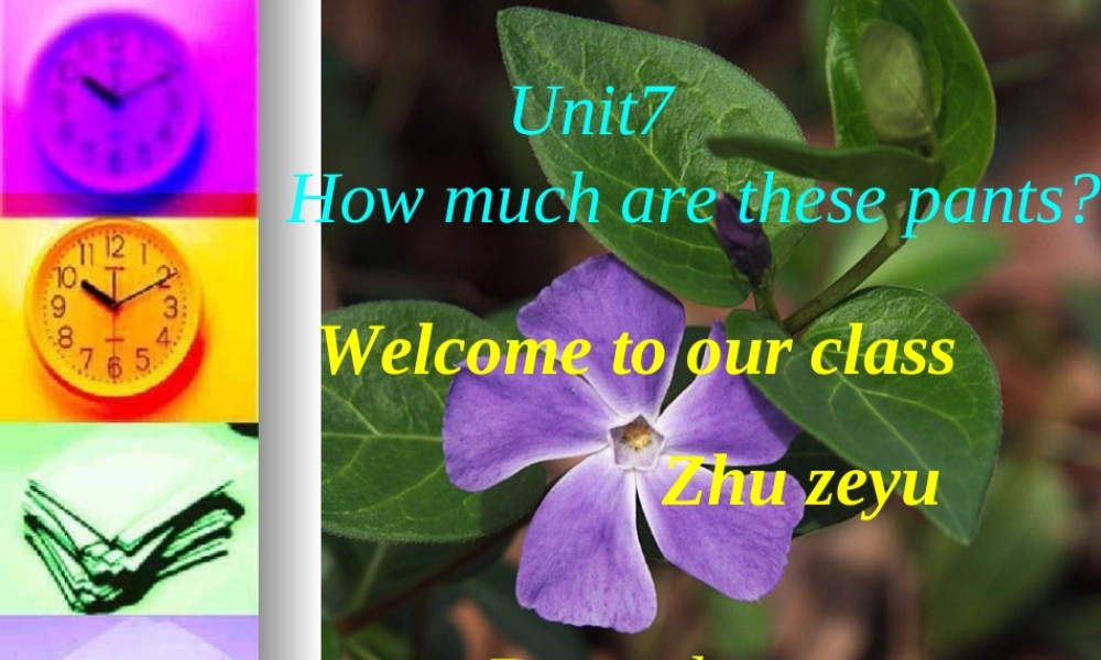 山东省新目标英语七年级(上)Unit7教学课件