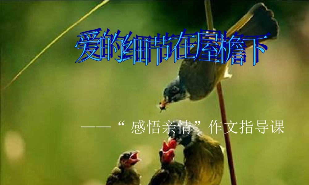 “感悟亲情”作文指导课