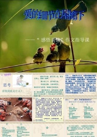 “感悟亲情”作文指导课