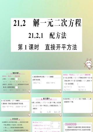九年级数学上册 第二十一章 一元二次方程 212 解一元二次方程 2121 配方法 第1课时 直接开平方法习题课件 (新版)新人教版 课件