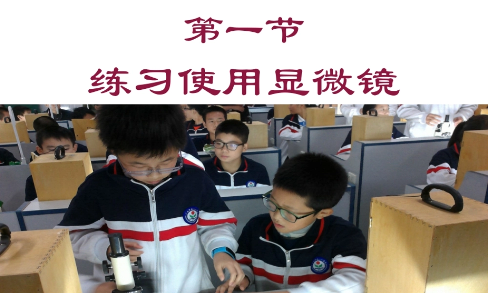 七年级生物上册 第二单元 第一章 第1节练习使用显微镜课件 (新版)新人教版 课件