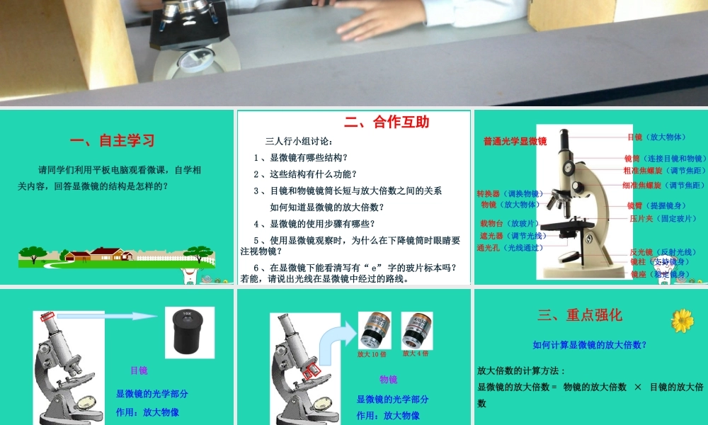 七年级生物上册 第二单元 第一章 第1节练习使用显微镜课件 (新版)新人教版 课件