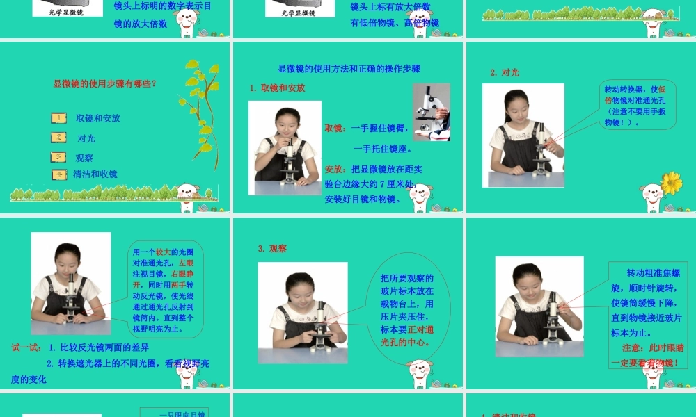 七年级生物上册 第二单元 第一章 第1节练习使用显微镜课件 (新版)新人教版 课件