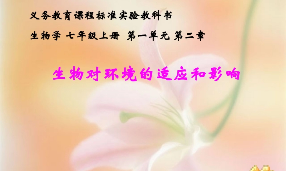 生物对环境的适应和影响 (2)