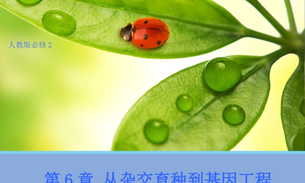 杂交育种与诱变育种