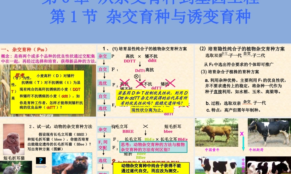 杂交育种与诱变育种