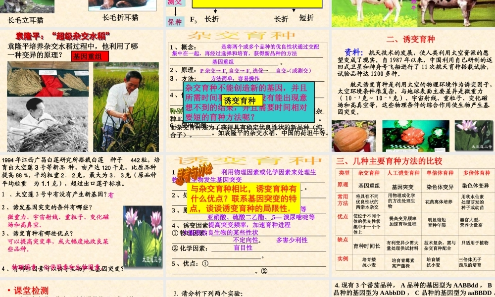 杂交育种与诱变育种