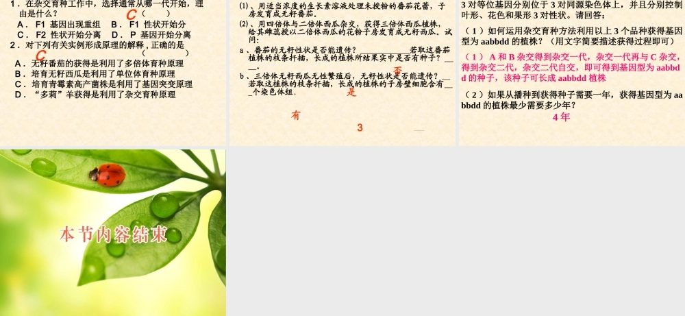 杂交育种与诱变育种