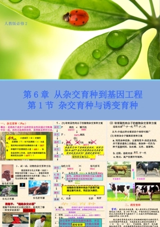 杂交育种与诱变育种