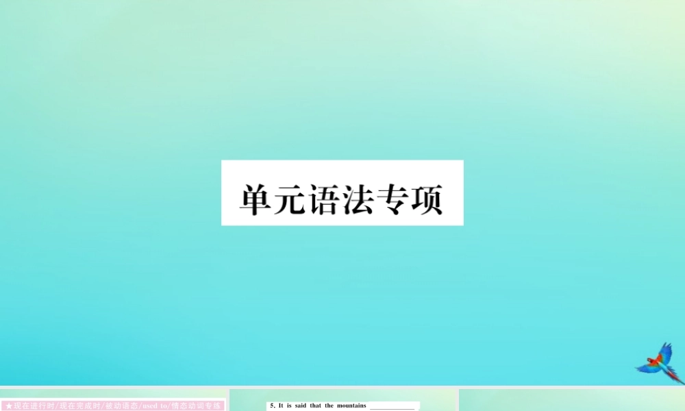 九年级英语全册 Unit 13 We re trying to save the earth单元语法专项习题课件 (新版)人教新目标版 课件