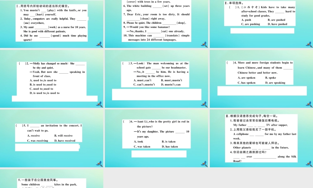 九年级英语全册 Unit 13 We re trying to save the earth单元语法专项习题课件 (新版)人教新目标版 课件