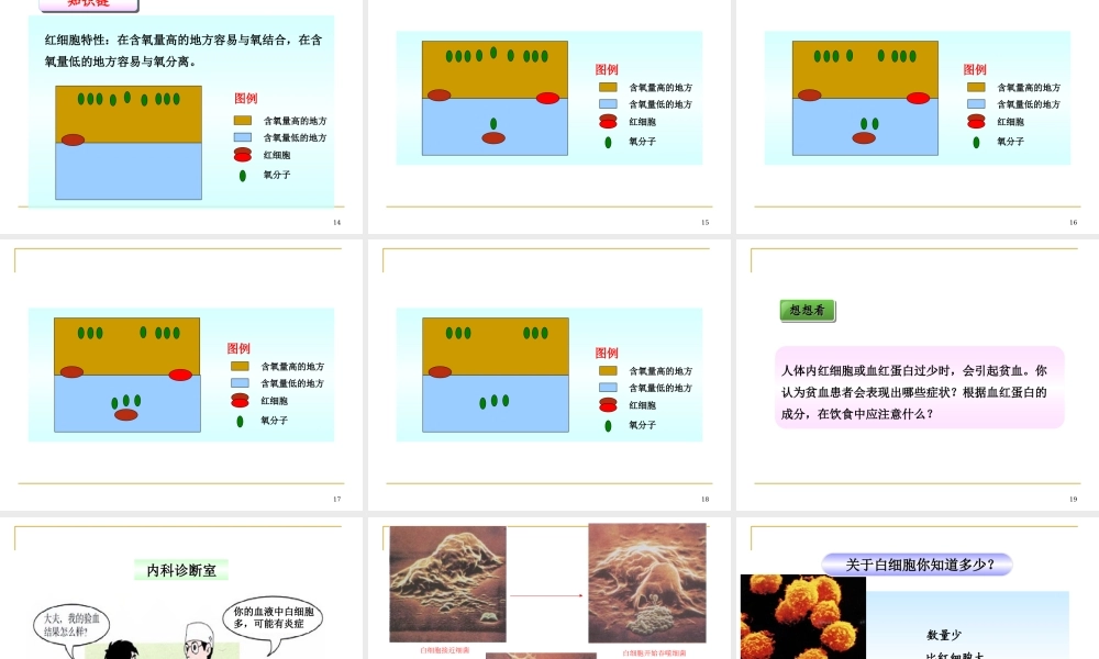 人教版七年级生物下册-课件：第四单元第四章第1节流动的组织——血液