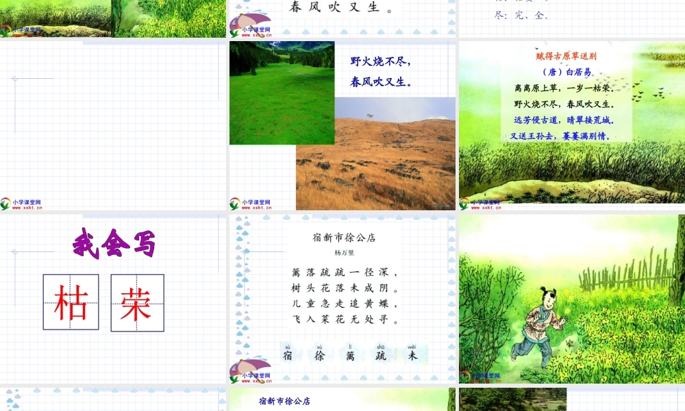 二年级下册语文古诗两首《草_宿新市徐公店》PPT课件[1]