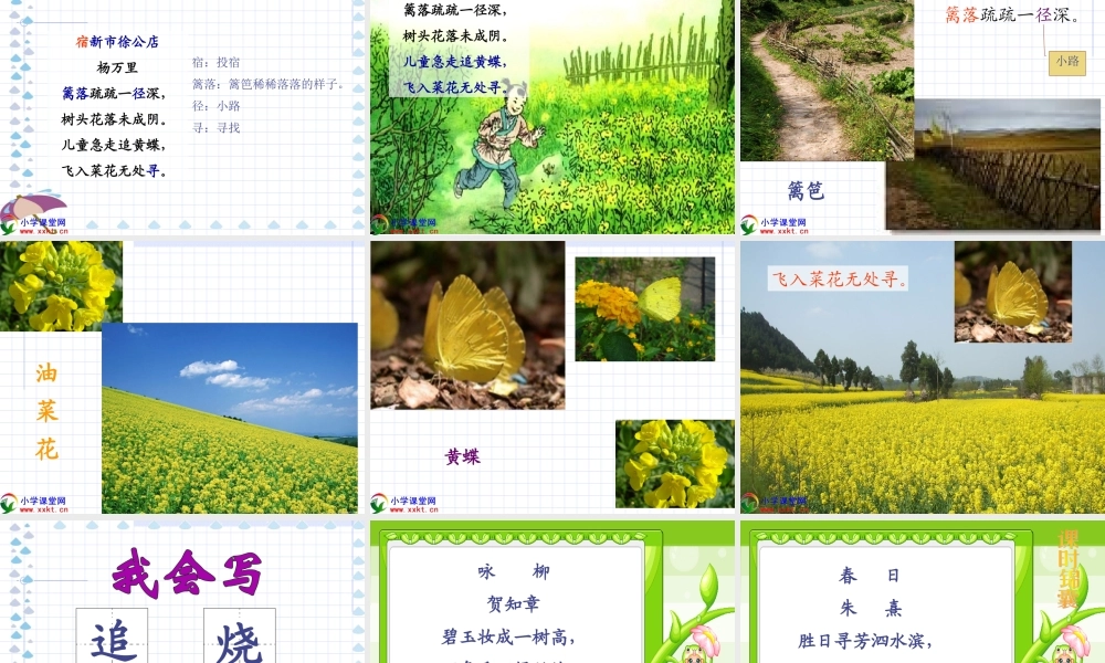 二年级下册语文古诗两首《草_宿新市徐公店》PPT课件[1]