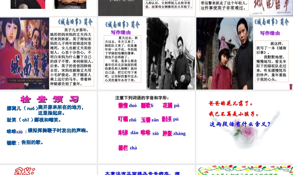 《爸爸的花落了》课件