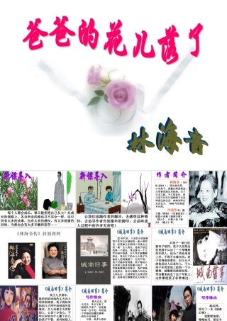 《爸爸的花落了》课件