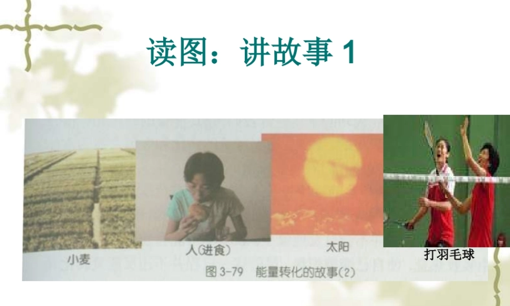 九年级物理能的转化和守恒定律课件新人教版 课件