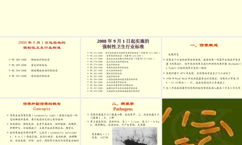 伤寒与副伤寒新论