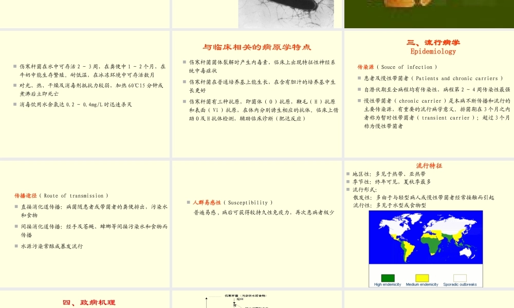 伤寒与副伤寒新论