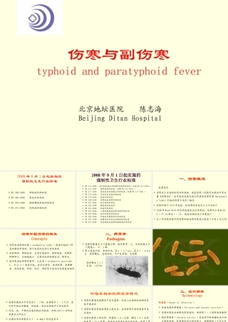 伤寒与副伤寒新论