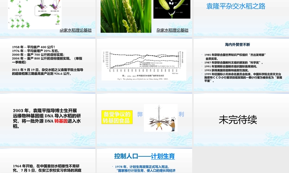 科学家的故事-袁隆平与杂交水稻